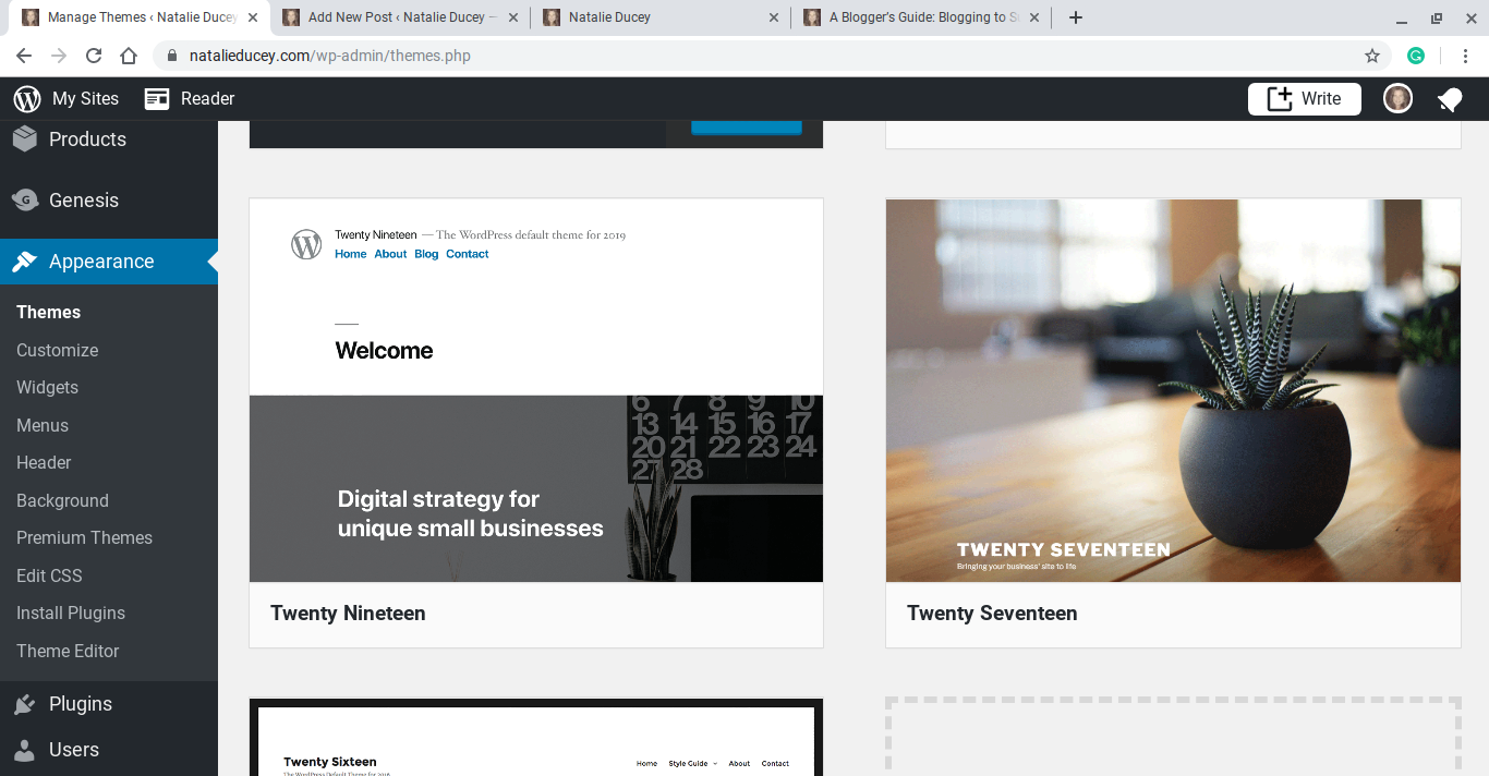 A Blogger’s Guide: How To Customize A WordPress Theme ~ Blogging To ...