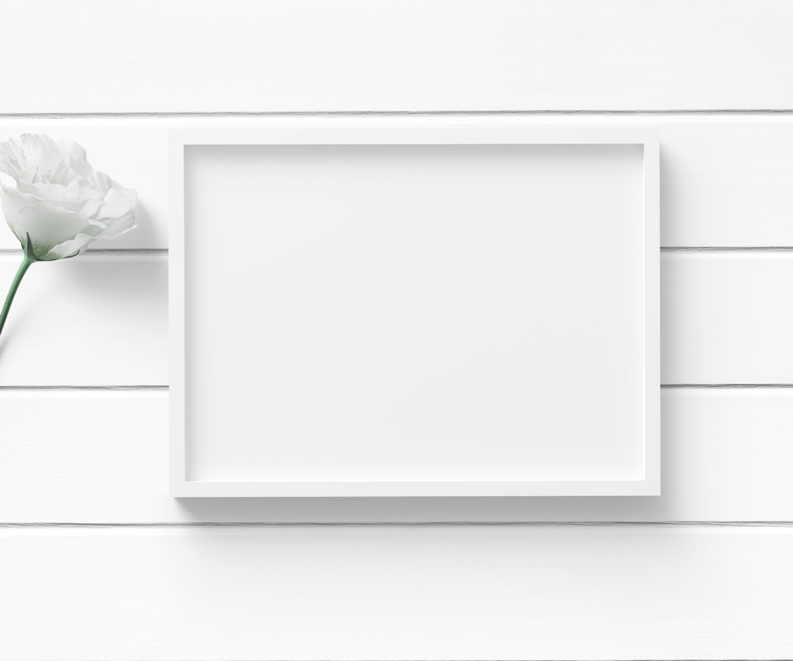 Download 5×7 White Frame Mockup with white rose h - Natalie Ducey