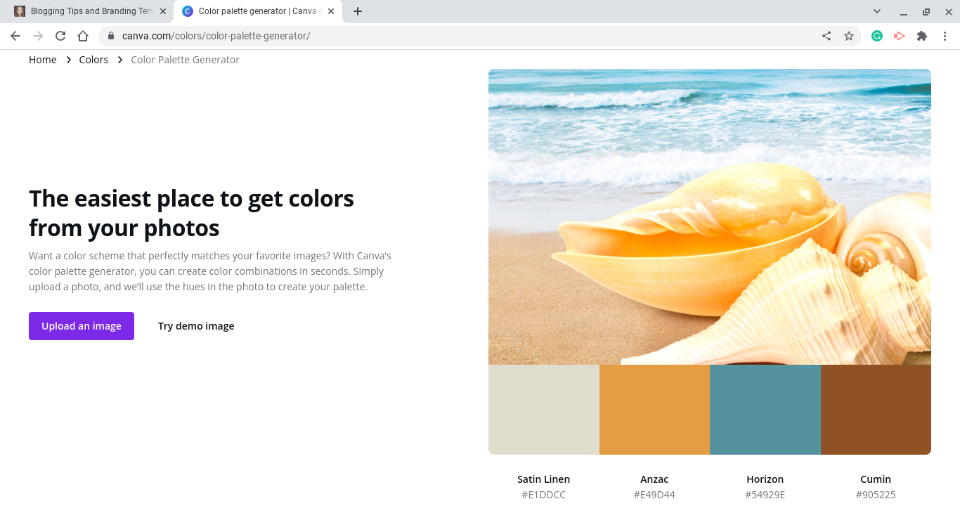 Canva color tools and resources 12 – Natalie Ducey