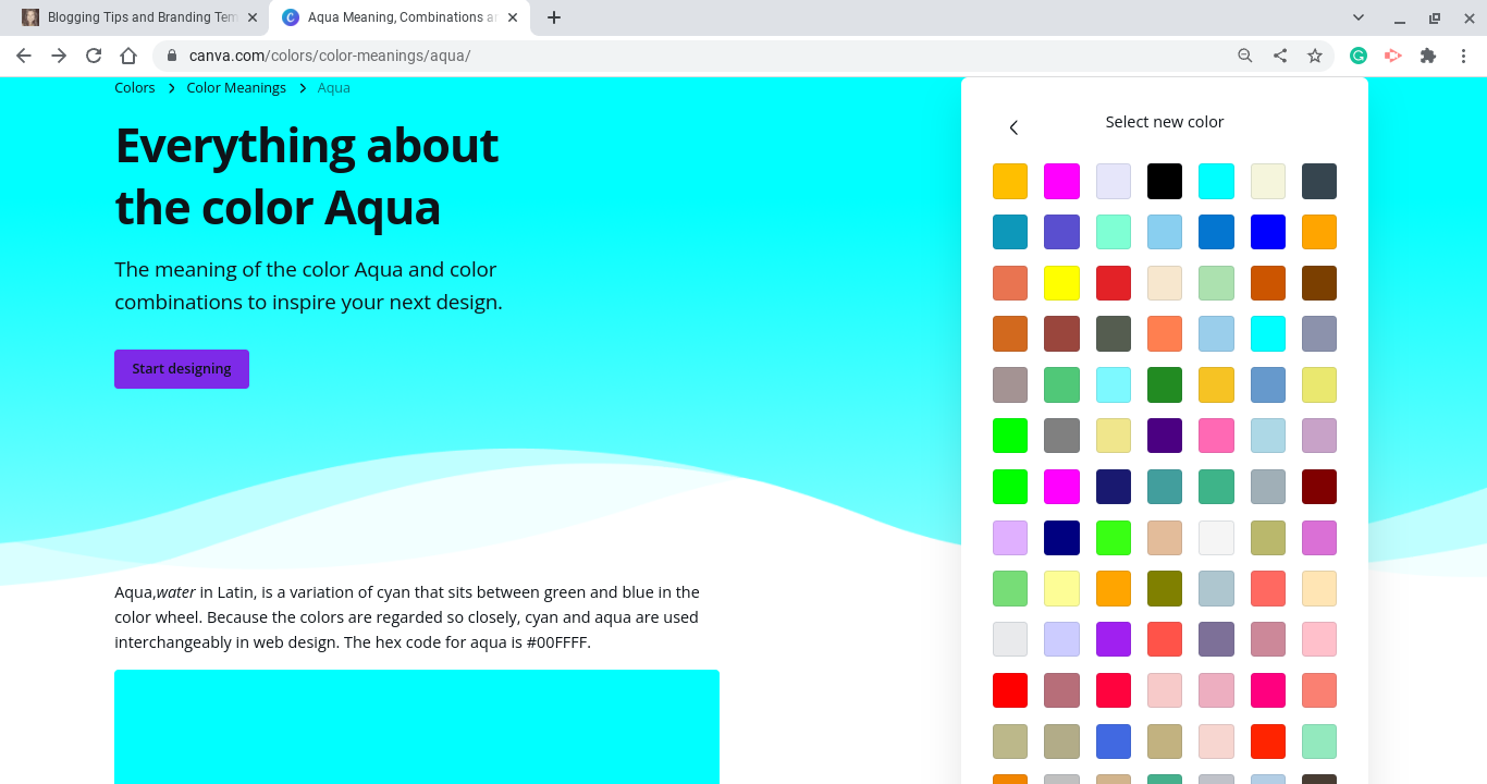 Canva color tools and resources 4 – Natalie Ducey