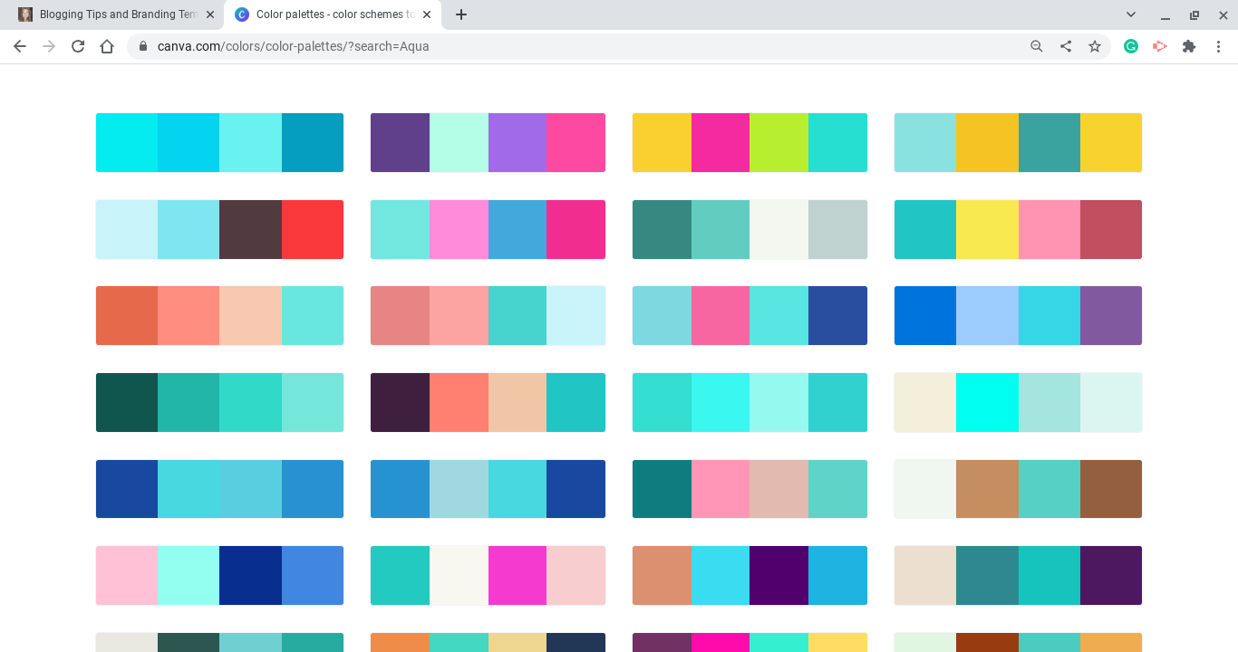 Canva color tools and resources 6 – Natalie Ducey